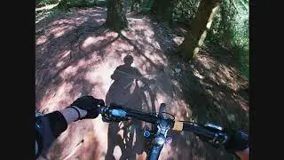 Root Manoeuvres, Bike Park Wales