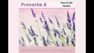Proverbs 6 - Audio Bible - Sacred Holy Name - Tree of Life Version