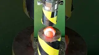 Hydraulic Press Vs Fish #hydraulicpress