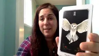 31 Days of Tarot 2019 - Day 2: Top 5 Tarot decks of 2018! 🌈