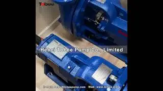 Sandman&reg; Mission 2500 type C pumps 4x3x13