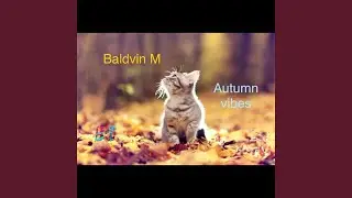 Autumn Vibes