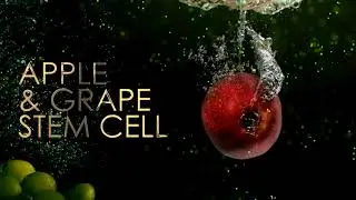 Apple & Grape Stem Cell Concentrate Soap | Extreme Hygiene Anti-Bacterial Soap | PSB004