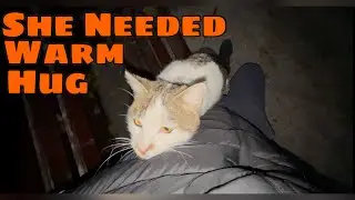 She just Needed a warm hug in cold autumn 