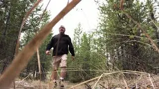 Balinta-walk