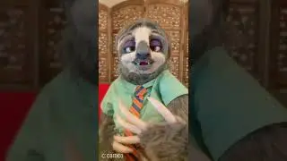 BIRTHDAY GREETINGS FROM FLASH OF ZOOTOPIA! :-)
