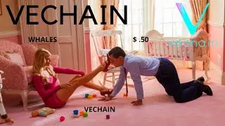 VeChain Main Net EXPLODING! VET To Release 19 Solution In Italy In ONE MONTH! ADOPTION HERE!
