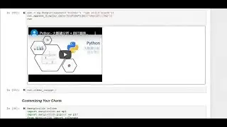 Python | Ipywidgets | Custom Visualization