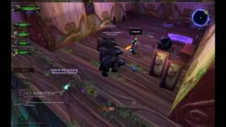 Crashing WoW ERP with RP