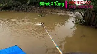 Thực Tế Máy 60fet 3 Tầng Mặn Ngọt Lợ . lh 0369051161