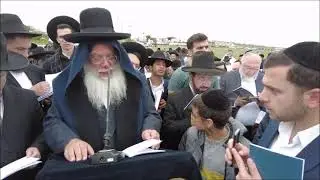 הרב בניהו שמואלי - ברכת האילנות ע