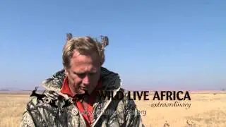Clint camouflage with ostrich feathers