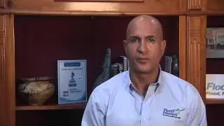 Health Effects of Mold