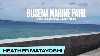 Busena Marine Park, Okinawa Japan (4K)