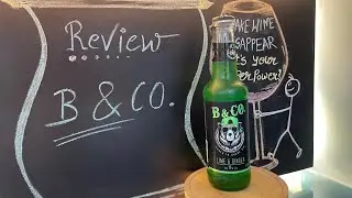 B & CO. Mead Review In Hindi | B & CO. Lime and Ginger Review | Daru Tathya | B & Co. Review