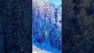Vakker og avslappende musikk &bull; Beroligende pianomusikk Sunny Mornings #shorts #3