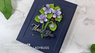 Wild Violet and Ladybugs