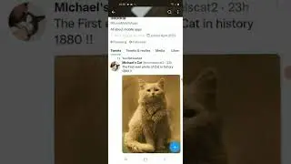 How to delete a retweet on Twitter