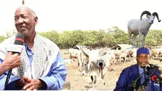 Tobaski Rams In Abuko - Talk To The Nation (Episode 10]