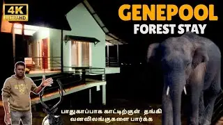 🔥Gene Pool Forest Stay Experience | Calm, Wild & Peaceful @SimbaaVlogs