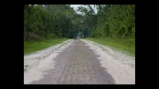 Drive down a 100yr old brick road. The Old Dixie Highway