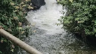 Towards Bambarakanda waterfalls