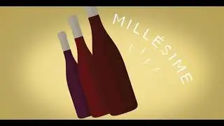 savoir lire une etiquette de vin toutlevin com