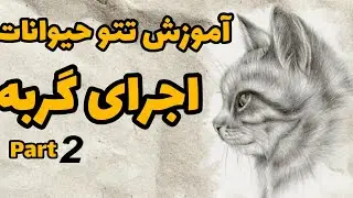 آموزش اجرای موی حیوانات