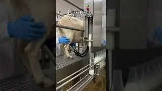 You&rsquo;re Watching the Future of Dairy