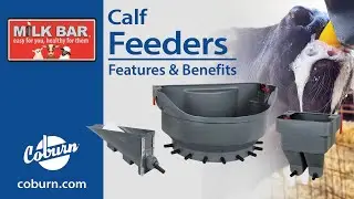 Health Benefits of Milk Bar Calf Feeders