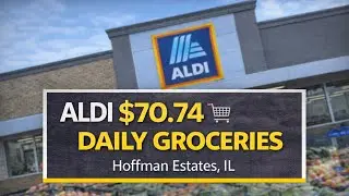 🇺🇸Daily Grocery Shopping at ALDI | $70.74 🛒 | Hoffman Estates, IL January 2026