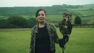 Owls and fantasy