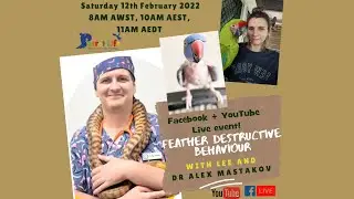FEATHER DESTRUCTIVE BEHAVIOUR with Dr Alex Mastakov