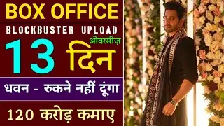 Jugjugg Jeeyo 13 Days Box Office Collection | Jug Jugg Jeeyo Total Worldwide Box Office Varun Dhawan