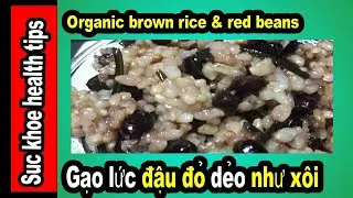 Nấu Gạo lức đậu đỏ DẺO NGON, Organic brown rice red beans #159
