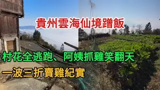 走進田園風光！順便解決午餐問題可以嗎？ 2026-01-13 10:02:26