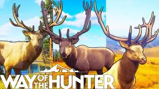 Three Maps Three Five Star Elk | Way of the Hunter
