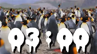 Penguin Power Countdown: 3-Minute Arctic Timer with Relaxing Music