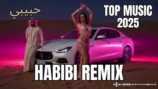 Desert Stars 🌌 HABIBI 2025 Remix | Central Asian Deep House Chill