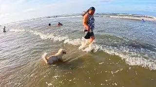 ILHA COMPRIDA: ENCONTRE A CASA PERFEITA PARA SE HOSPEDAR E CURTIR ESSE VERÃO COM A FAMILIA!