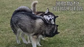 Sherpa and Keyush | The Longer Version