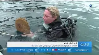 تقرير - أصداف أم اللؤلؤ مهددة بالانقراض من شواطىء البحر المتوسط