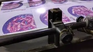 Flyers Printing 