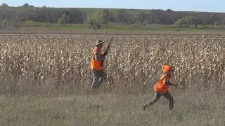 South Dakota Game, Fish and Parks hosting virtual class to prepare for Pheasant Opener