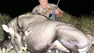 Gemsbok hunts in Texas