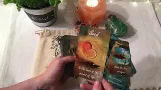 🌳My Inner Tree Oracle Deck Unboxing!!!🌳 By Gabriela Gausachs on Etsy