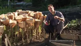 Session 7: GROW BIOINTENSIVE: A Beginner's Guide --  Seeds