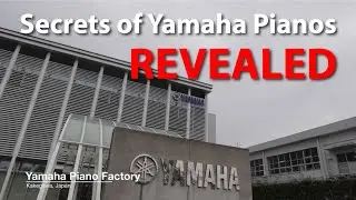 Secrets of Yamaha Pianos Revealed | Cunningham Piano | Lacefield Music
