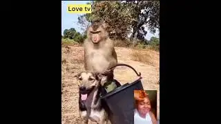 Funny videos #suspense #funny #nothingimposibleinthisworld #spiritualmarriage