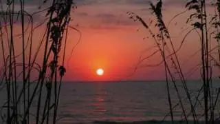 Dan Gibson - Florida Dream